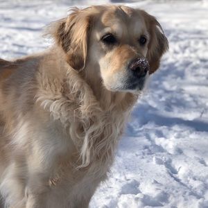 Meet your Posher, Cynthia